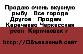 Продаю очень вкусную рыбу - Все города Другое » Продам   . Карачаево-Черкесская респ.,Карачаевск г.